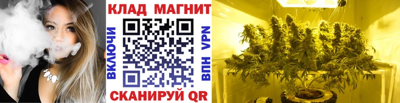 Какие есть наркотики Луза ЭКСТАЗИ  Бошки Шишки  COCAIN  АМФ  МЕФ  A-PVP  ГАШ 