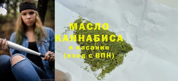 твердый Бородино