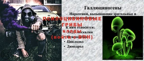эйфоретик Сафоново