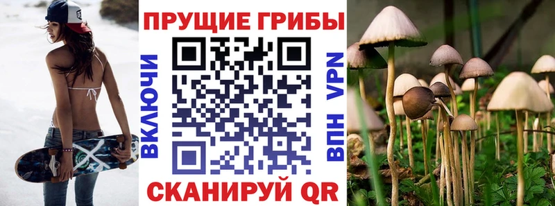 OMG как зайти  где купить   Луза  Галлюциногенные грибы Psilocybine cubensis 